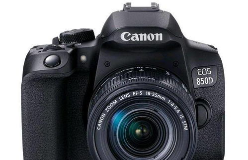 2022年单反相机选购指南 主流品牌解析与销量排行榜前五名